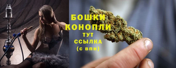 трава Аркадак