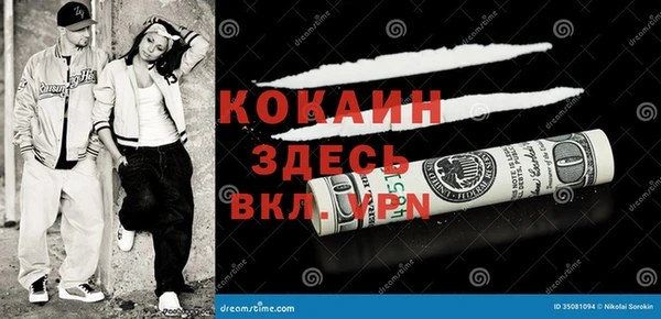 трава Аркадак