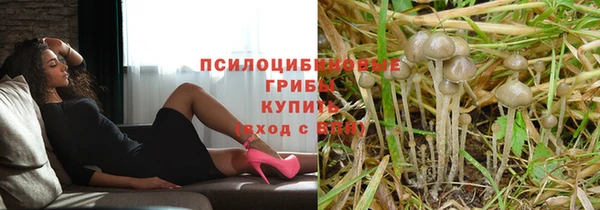 трава Армянск