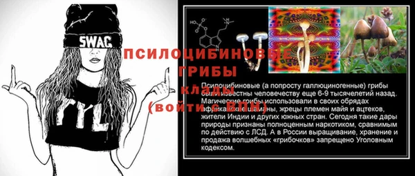 трава Аркадак