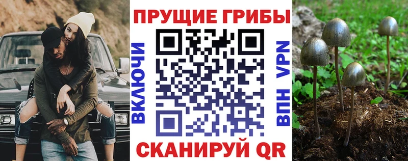 дарнет шоп  Старый Крым  Псилоцибиновые грибы MAGIC MUSHROOMS 